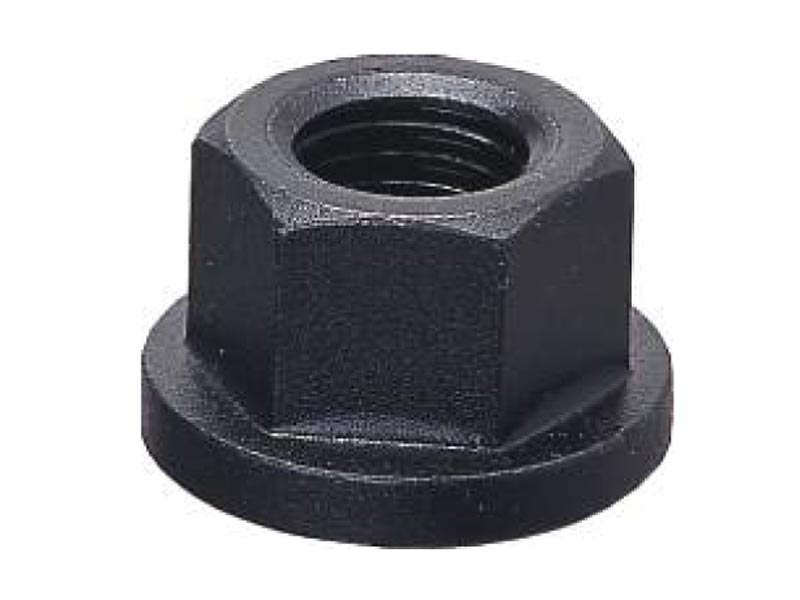 PT04 - FLANGE NUT