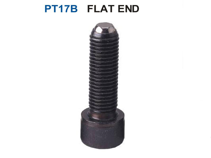 PT17B - SWIVEL SHOULDER CLAMPING SCREW (FLAT END)